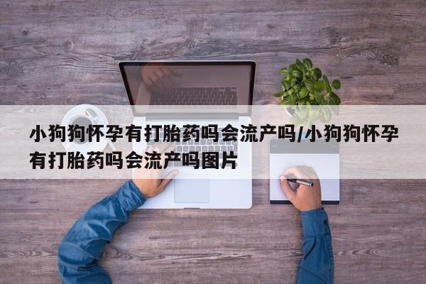 堕胎药货到付款小狗狗怀孕有打胎药吗会流产吗/小狗狗怀孕有打胎药吗会流产吗图片