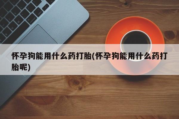 堕胎药货到付款怀孕狗能用什么药打胎(怀孕狗能用什么药打胎呢)